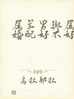 属羊男与属虎女婚配好不好封面