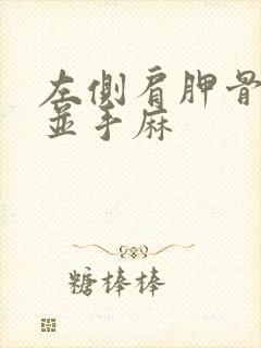 左侧肩胛骨缝疼并手麻