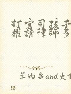 打官司孩子抚养权请律师多少钱