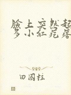 脸上突然起了好多小红疙瘩怎么办