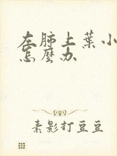 左肺上叶小结节怎么办