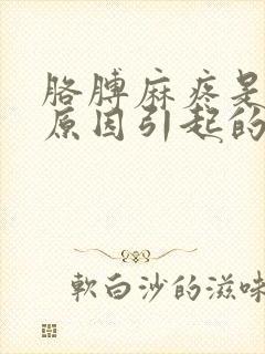 胳膊麻疼是什么原因引起的封面