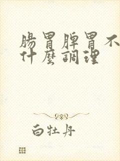 肠胃脾胃不好吃什么调理