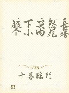 腋下突然长了一个小肉疙瘩怎么回事