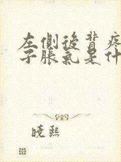 左侧后背疼,肚子胀气是什么原因