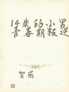 14岁的小男孩青春期叛逆怎么办封面