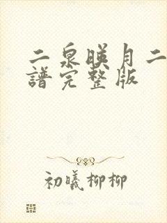 二泉映月二胡简谱完整版