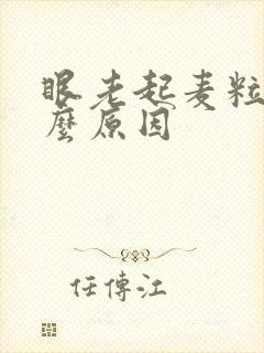 眼老起麦粒肿什么原因