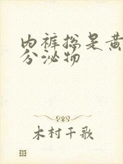 内裤总是黄色的分泌物封面