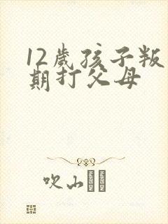 12岁孩子叛逆期打父母
