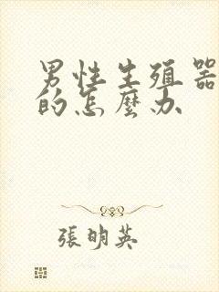 男性生殖器官弯的怎么办