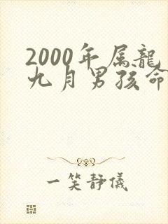 2000年属龙九月男孩命运