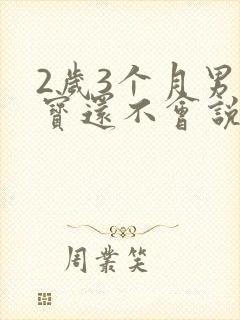 2岁3个月男宝宝还不会说话