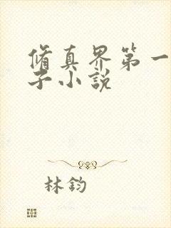 修真界第一病秧子小说