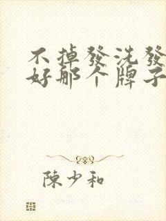 不掉发洗发水最好那个牌子