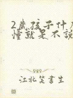 2岁孩子什么都懂就是不说话封面