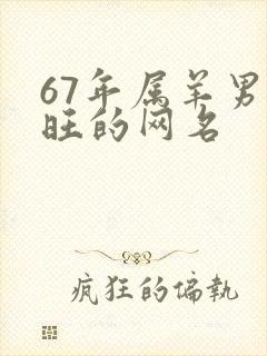 67年属羊男最旺的网名