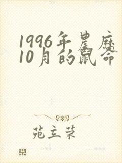 1996年农历10月的鼠命运如何封面