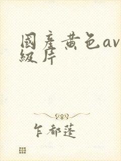 国产黄色av一级片