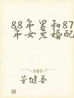 88年男和87年女兔婚配