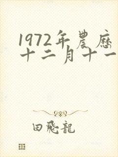 1972年农历十二月十一日出生的女性的命运