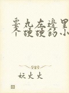 睾丸左边里面有个硬硬的小疙瘩疼