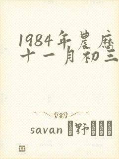 1984年农历十一月初三是什么命