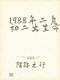 1988年二月初二出生命运怎样