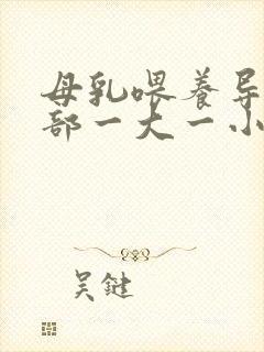 母乳喂养导致胸部一大一小怎么办封面