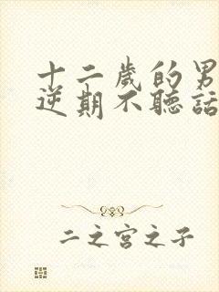 十二岁的男孩叛逆期不听话怎么办封面