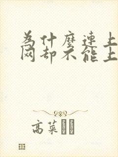 为什么连上无线网却不能上网封面