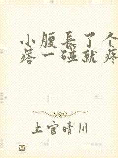 小腹长了个红疙瘩一碰就疼封面