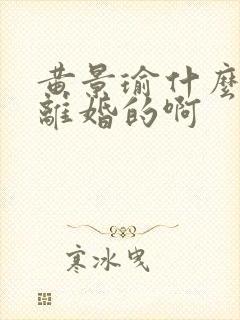 黄景瑜什么时候离婚的啊封面