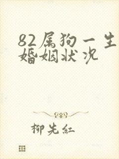 82属狗一生的婚姻状况