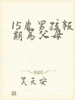 15岁男孩叛逆期骂父母封面