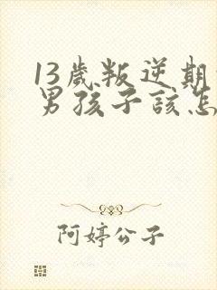 13岁叛逆期的男孩子该怎样去沟通教育