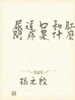 尿道口和肛门之间疼是什么原因