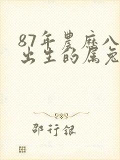 87年农历八月出生的属兔人命运