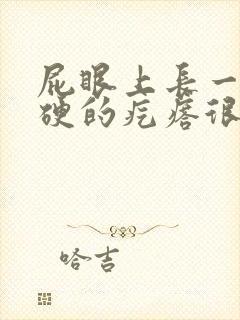 屁眼上长一个硬硬的疙瘩很痛是什么封面