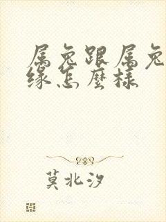 属兔跟属兔的姻缘怎么样封面