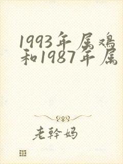 1993年属鸡和1987年属兔的人婚配