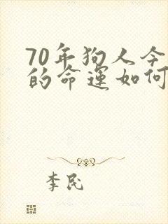 70年狗人今年的命运如何