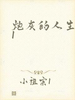 炮灰的人生快穿1封面