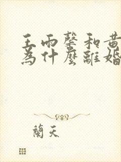 王雨馨和黄景瑜为什么离婚