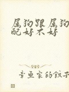 属狗跟属狗的婚配好不好