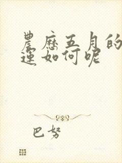 农历五月的羊命运如何呢