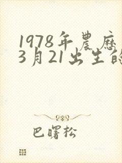 1978年农历3月21出生的命运