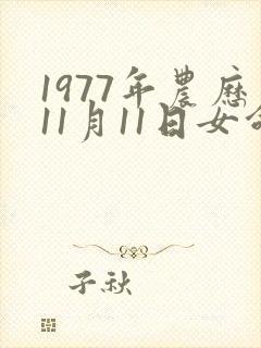 1977年农历11月11日女命运