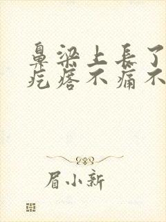 鼻梁上长了个硬疙瘩不痛不痒