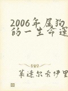 2006年属狗的一生命运